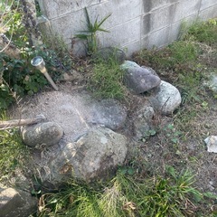 庭石　大量　無料の画像