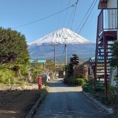 金曜の昼飲みはいかが？
