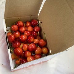 紅秀峰　Ｌ〜ＬＬ　さくらんぼ🍒500g 贈答用