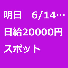 【スポット案件/急ぎ募集⭐】【日給20000円】神奈川県大和市 ...