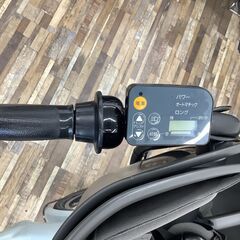 新品バッテリー！整備済☆BRIDGESTONE bikke POLAR e ブリヂストン ビッケポーラーe 20インチ 電動アシスト中古車の画像