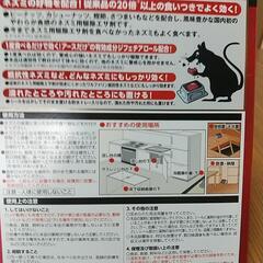 ネズミ駆除の画像