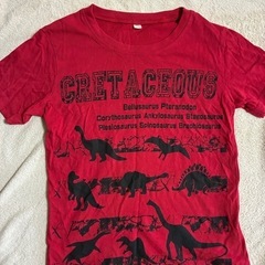 美品　Tシャツ　120センチ