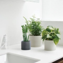 KINTO  植木鉢　グレー　直径10.5cm 美品の画像
