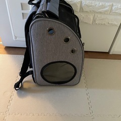 ペットバッグ差し上げます。
の画像