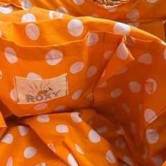ROXY バッグの画像