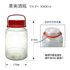 梅酒、果実酒用瓶5リットル