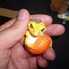 真工房　ヒョウモントカゲモドキ