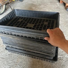 佐賀　カゴトレー　苗ポット　入れ　ケース　園芸　野菜　の画像
