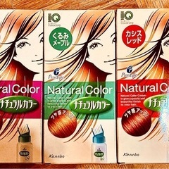 毛染め剤５本