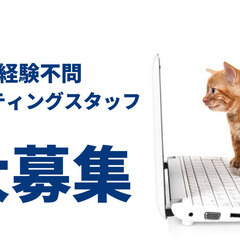 平日のみ◆6/20(金)～7/31(木)までの短期｜PCキッティ...