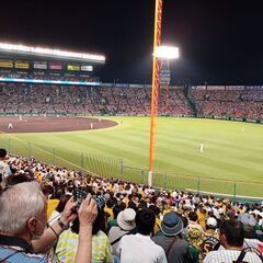 阪神甲子園のチケット、譲ってください！