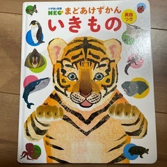 絵本