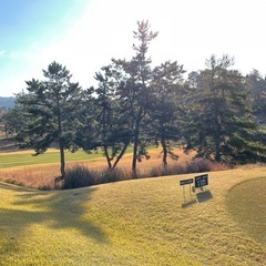 ゴルフ仲間募集⛳️まずは打ちっ放しから🙏✨