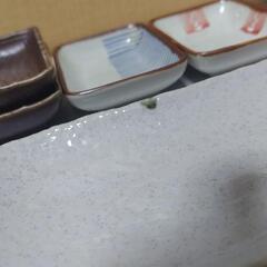 長方形平皿、醤油小皿各種の画像
