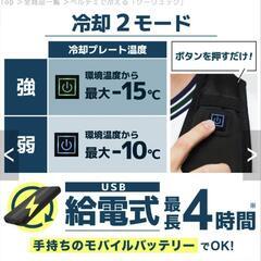 〈やり取りがスムーズな方限定〉メーカー価格14,800円 サンコーリュッククーラーの画像
