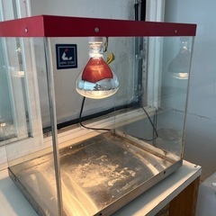 業務用　 ホットケース　の画像