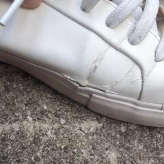 ZARA 26cmの画像