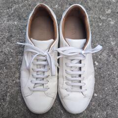 ZARA 26cmの画像