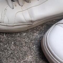 ZARA 26cmの画像