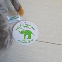 市原ぞうの国　ぬいぐるみの画像