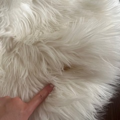 アクセントマット　ニトリ　ファー　白　汚れありの画像