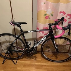 メリダ スクルトゥーラ3000