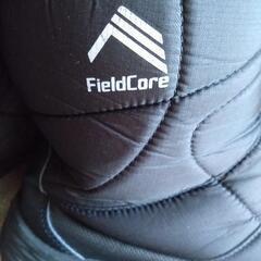 🎊取引完了🎊底減り有り🌚ワークマン FieldCore

ブーツ サイズＬ 25.5〜26.0の画像