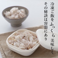 【marna】人気！極冷凍ご飯容器　中サイズの画像