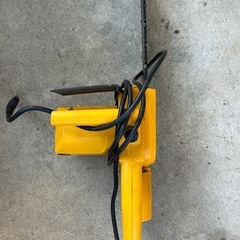 チンソウの画像