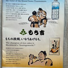 大相撲：令和五年五月場所　パンフレットの画像
