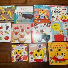 こどもチャレンジぷち　絵本エディトイDVD知育プラスの画像