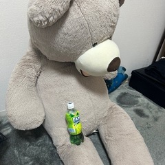 クマ　ぬいぐるみの画像