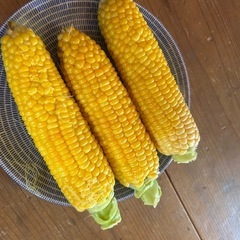 朝取りとうもろこし　お安く　他にも野菜あります