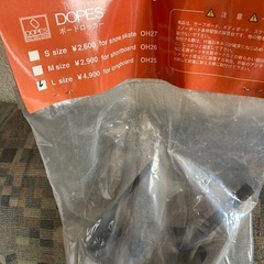 ロングボードルームキャリー