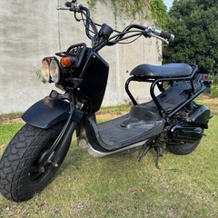 ズーマー50