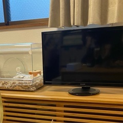 SHARP 24インチ　液晶テレビ
