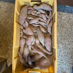 訳あり、さつまいも1ケース（紅はるか）