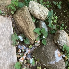 庭石　ブロック