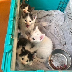 自宅の倉庫に産まれていました！