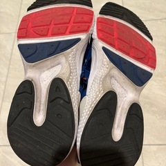 NIKEスニーカー　ハラチの画像