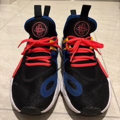 NIKEスニーカー　ハラチの画像