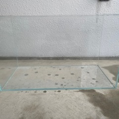 ADA 60cm 水槽