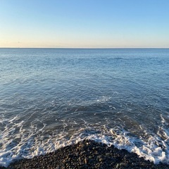気楽な釣り仲間募集です