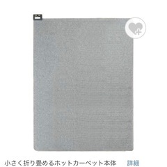 ホットカーペット　グレーの画像