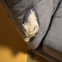 1人用 座椅子 ベットにもなる 折りたたみソファの画像