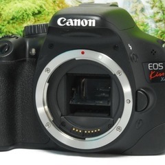✨機能十分な入門一眼レフ✨Canon Kiss X4✨スマホ転送OK✨軽量✨の画像