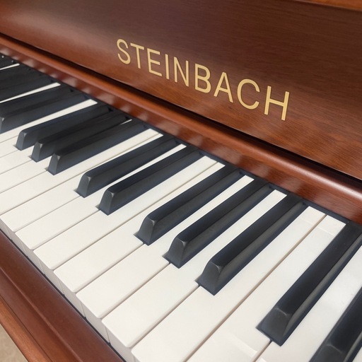 STEINBACH スタインバッハDS3 艶消し木目アップライトピアノ