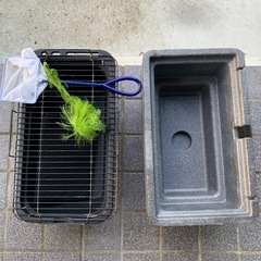 水槽類