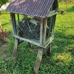 完売　サクランボ農園用　ハチの巣3台セットの画像